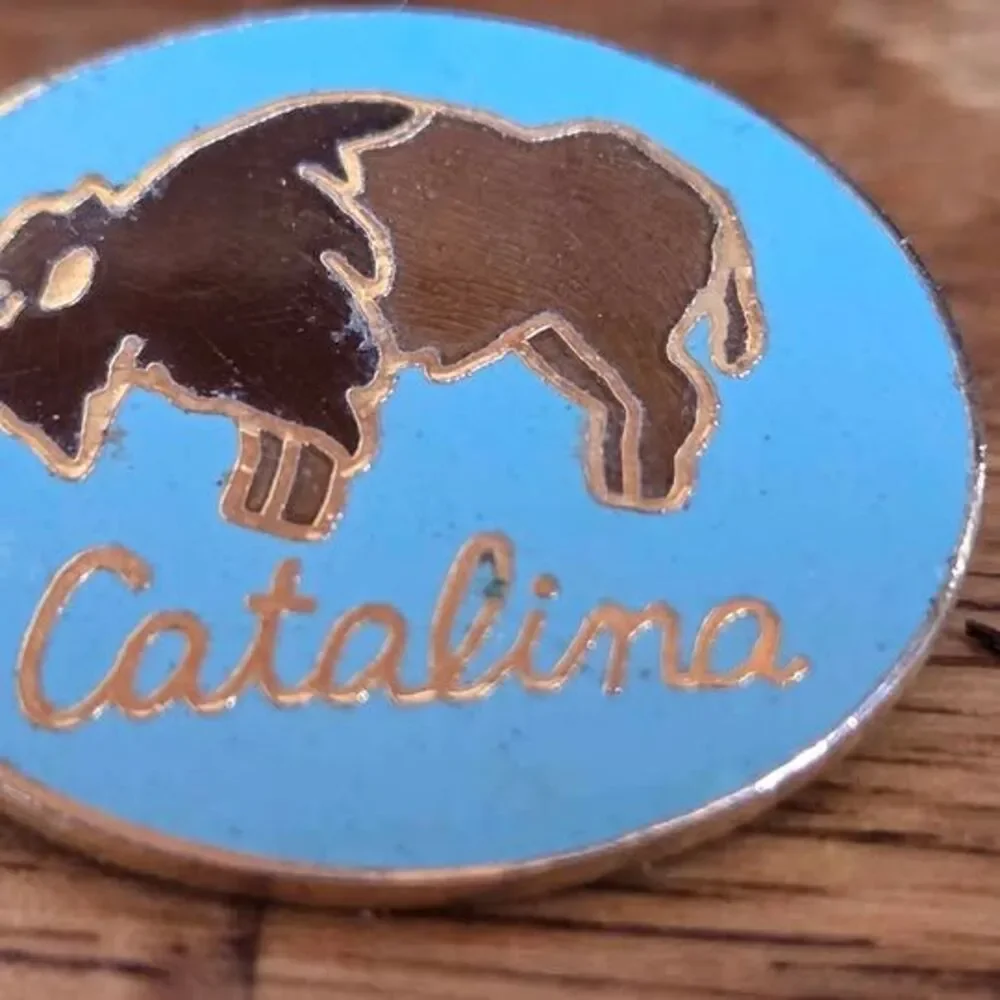 Vintage Catalina Island Buffalo Enamel Souvenir Pin Brooch by Impacto